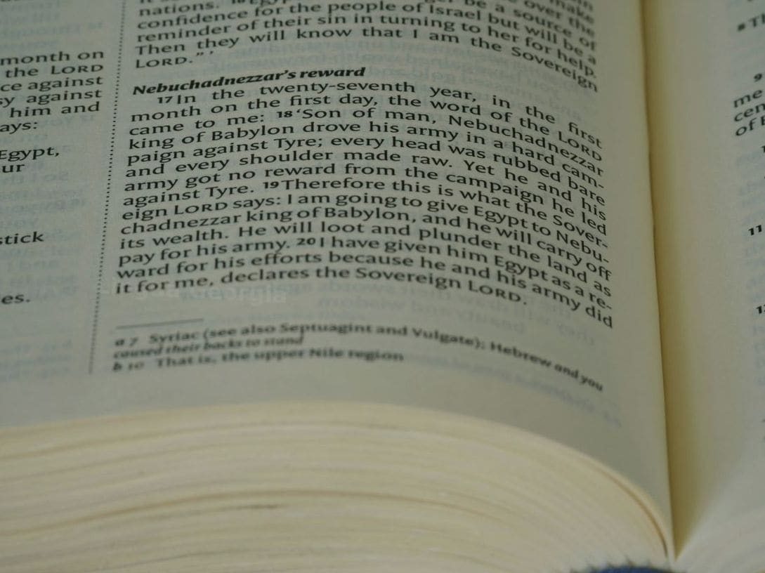 Lingua Georgia 11