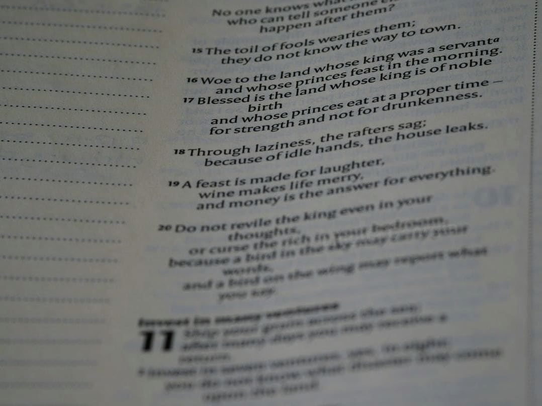 Lingua Georgia 13